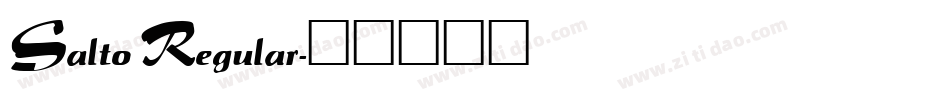 Salto Regular字体转换